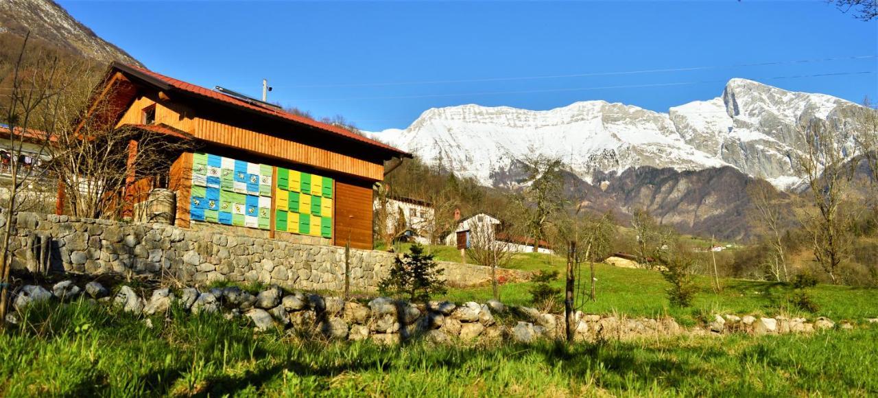 Sleeping With The Bees Kozjak كوباريد المظهر الخارجي الصورة